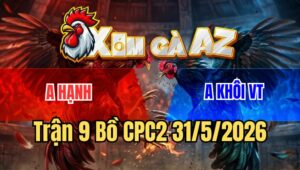 Trận 9 CPC2 31/5/2026