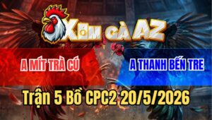 Trận 5 Bồ CPC2 20/5/2026 - Xanh Râu Mẻ Hiệu Mít Trà Cú Quá Hay Gồng Phút Cuối Đá Phản Chân Lấy Tiền