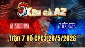 Trận 7 CPC3 28/5/2026