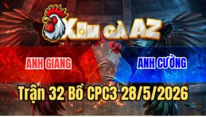 Trận 32 CPC3 28/5/2026