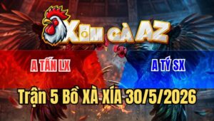 Trận 5 Xà Xía 30/5/2026: Điều Chân Xanh Đâm Úa Té Nằm Một Đống