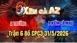 Tran 6 Bo CPC3 3152026