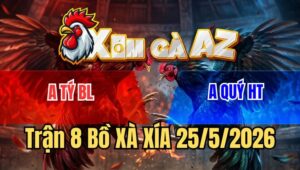 Trận 8 Xà Xía 25/5/2026: Điều Trả Đòn Hiểm Bướm Hư Hình Buông Chạy