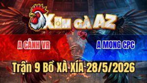 Trận 9 Xà Xía 28/5/2026: Anh Cảnh Và Anh Mong CPC Bất Phân Thắng Bại