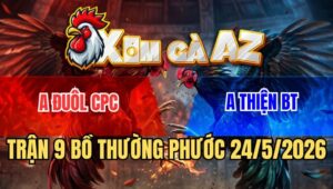 Trận 9 Thường Phước 24/5/2026: Gà Úa Anh Thiện Đá 2 Cước Lụm Xổ 200