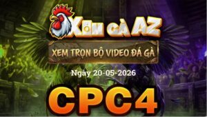 Xem Full Video Đá Gà CPC4 Ngày 20/05/2026
