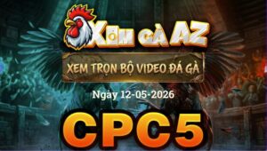 Xem Full Video Đá Gà CPC5 Ngày 12/05/2026