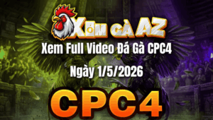 Xem Full Video Đá Gà CPC4 Ngày 01/05/2026