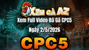 Xem Full Video Đá Gà CPC5 Ngày 02/05/2026