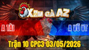 Trận 10 CPC3 03/05/2026 - Đỏ Đá Đâm Liên Tục Xanh Đứng Chịu Trận Gục Ngã