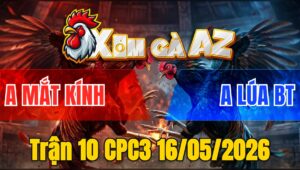 Trận 10 CPC3 16/05/2026 - Bướm Phóng Ăn 6 Và Cái Kết Đá Điều Chảy Máu Té Gọn