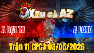 Trận 11 CPC3 03/05/2026 - Gà Úa Đá Quá Hay Bướm Giãy Đành Đạch Trong 1 Tay Nước