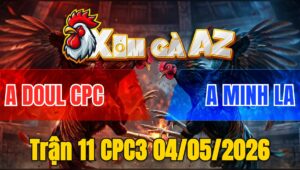 Trận 11 CPC3 04/05/2026 - Gà Bòn Doul Gồng Cựa Quá Hay Đâm Má Minh Bỏ Chạy