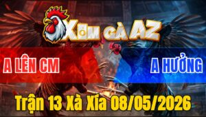 Trận 13 Xà Xía 08/05/2026 - Bướm Đỏ Đi Bộ Cũng Đâm Xanh Vào Kính Hết Đường Binh