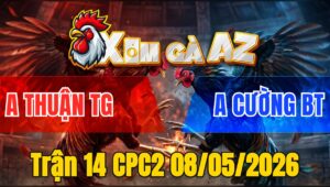 Trận 14 CPC2 08/05/2026 - Khét Chấp Ngông Gặp Điều Đá Có Chân Tiền Và Cái Kết
