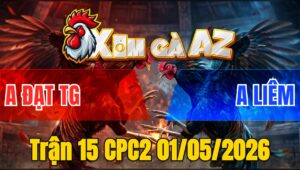 Trận 15 CPC2 01/05/2026 - Bướm Đá Quá Đâm Xanh Thâm Tan Từ Từ Xỉu Trên Tay
