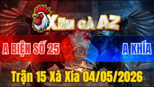 Trận 15 Xà Xía 04/05/2026 - Bướm Nặng Hơn Điều Gần 8 Chấm Gà Vẫn Bị Điều Đâm Chết Trên Tay
