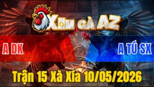 Trận 15 Xà Xía 10/05/2026 - 2 Con Bươi Xiết Buông Ra Điều Hư Giò Đáng Tiếc