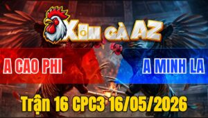 Trận 16 CPC3 16/05/2026 - Gà Xanh Của Má Minh Đá Tới Phút 90 Đâm Đỏ Anh Cao Phi Té Hư