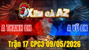 Trận 17 CPC3 09/05/2026 - Đỏ Đâm Như Con Không Đẻ Hạ Xanh Gọn Gàng