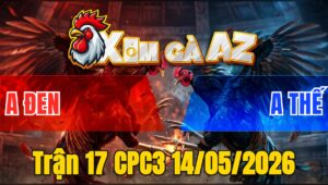 Trận 17 CPC3 14/05/2026 - Gà Anh Thế Đá Cựa Đâm Thấy Nóng Lạnh