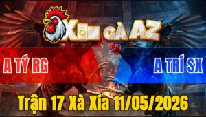 Trận 17 Xà Xía 11/05/2026 - Buông Đuôi Đá Vài Chân Đỏ Quay Xe Bỏ Chạy