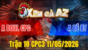 Trận 18 CPC3 11/05/2026 - Bé Bến Tre Chấp Ngông Trận Gà Tiền Tỷ