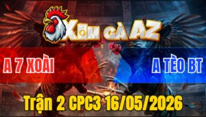 Trận 2 CPC3 16/05/2026 - Bướm Đâm Đụng Cú Quá Trâu Hòa Tiền Đáng Tiếc