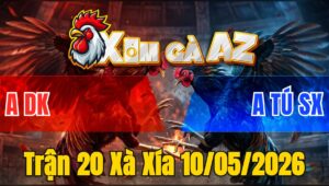 Trận 20 Xà Xía 10/05/2026 - Đỏ Đâm Xanh Hư Hình Té Nằm Biệt