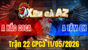 Trận 22 CPC3 11/05/2026 - Đỏ Đá Cựa Quá Cựa Đâm Bướm Chạy Xì Khói