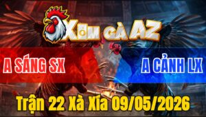 Trận 22 Xà Xía 09/05/2026 - Điều Tự Đâm Và Cái Kết