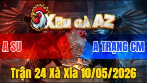 Trận 24 Xà Xía 10/05/2026 - Xanh Gác Mu Lưng Đỏ Chết Trên tay