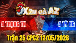 Trận 25 CPC2 12/05/2026 - Bướm Đá Như Xe Đụng Đâm Cây Điều Té Tuyệt Đối
