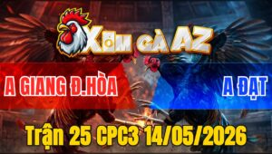 Trận 25 CPC3 14/05/2026 - Anh Giang Đức Hoà Đá 2 Con Hoà Hết 2