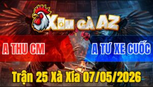 Trận 25 Xà Xía 07/05/2026 - Xám Canh Chặn Bướm Vừa Vào Đá Cặp Lọt Xám Té