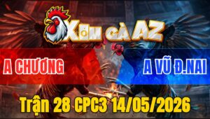 Trận 28 CPC3 14/05/2026 - Gà Đỏ Đâm Nhiều Nhưng Không Hiệu Quả