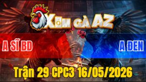 Trận 29 CPC3 16/05/2026 - Gà Xanh Hiệu Idol Phống Bạc Ăn 6 Buông Ra Đỏ Anh Sĩ Đá Không Kịp Tha Lơ