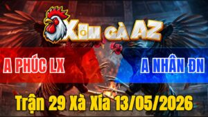 Trận 29 Xà Xía 13/05/2026 - Khét Đâm Dã Mang Điều Dãy Chết Chưa Tới 1 Tay Nước