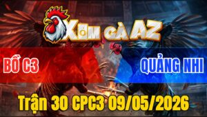 Trận 30 CPC3 09/05/2026 - Đỏ Đá Cựa Quá Cựa Hạ Cọp Idol Sau 2 Tay Nước