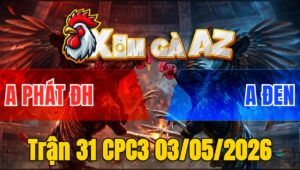 Trận 31 CPC3 03/05/2026 - Gà Xanh Canh Chặn Tốt Đá Đỏ Té Tại Mức