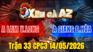 Trận 33 CPC3 14/05/2026 - Gà Anh Lam Vĩnh Long Đá Anh Giang Bay Bồ