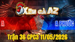 Trận 36 CPC3 11/05/2026 - Xanh Khôn Khéo Lên Chân Đỏ Lật Xe Nhanh Chóng