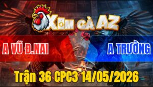 Trận 36 CPC3 14/05/2026 - Gà Anh Vũ Đồng Nai Đá Cựa Quá Đau