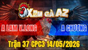 Trận 37 CPC3 14/05/2026 - Anh Chương Hạ Anh Lam Nhẹ Nhàng