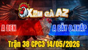 Trận 38 CPC3 14/05/2026 - Gà Anh Đen Gồng Gánh Cứu Chủ 1 Mạng