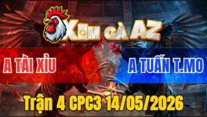 Trận 4 CPC3 14/05/2026 - Xanh Đá Không Cho Đỏ Cơ Hội Nào
