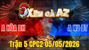 Trận 5 CPC2 05/05/2026 - Điều Anh Nu Thua Trận Gà Tiền Tỏi