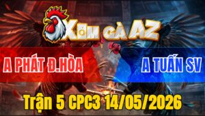 Trận 5 CPC3 14/05/2026 - Gà Xanh Đá Bo Quá Lực Đỏ Hết Cứu