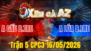 Trận 5 CPC3 16/05/2026 - Xanh Đá Chân Như Phát Xít Đâm Đỏ Gãy Giò Té Thua