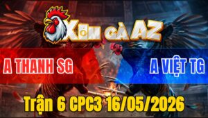 Trận 6 CPC3 16/05/2026 - Điều Lì Đòn Đá Tới Phút 90 Đâm Bướm Hư Hình